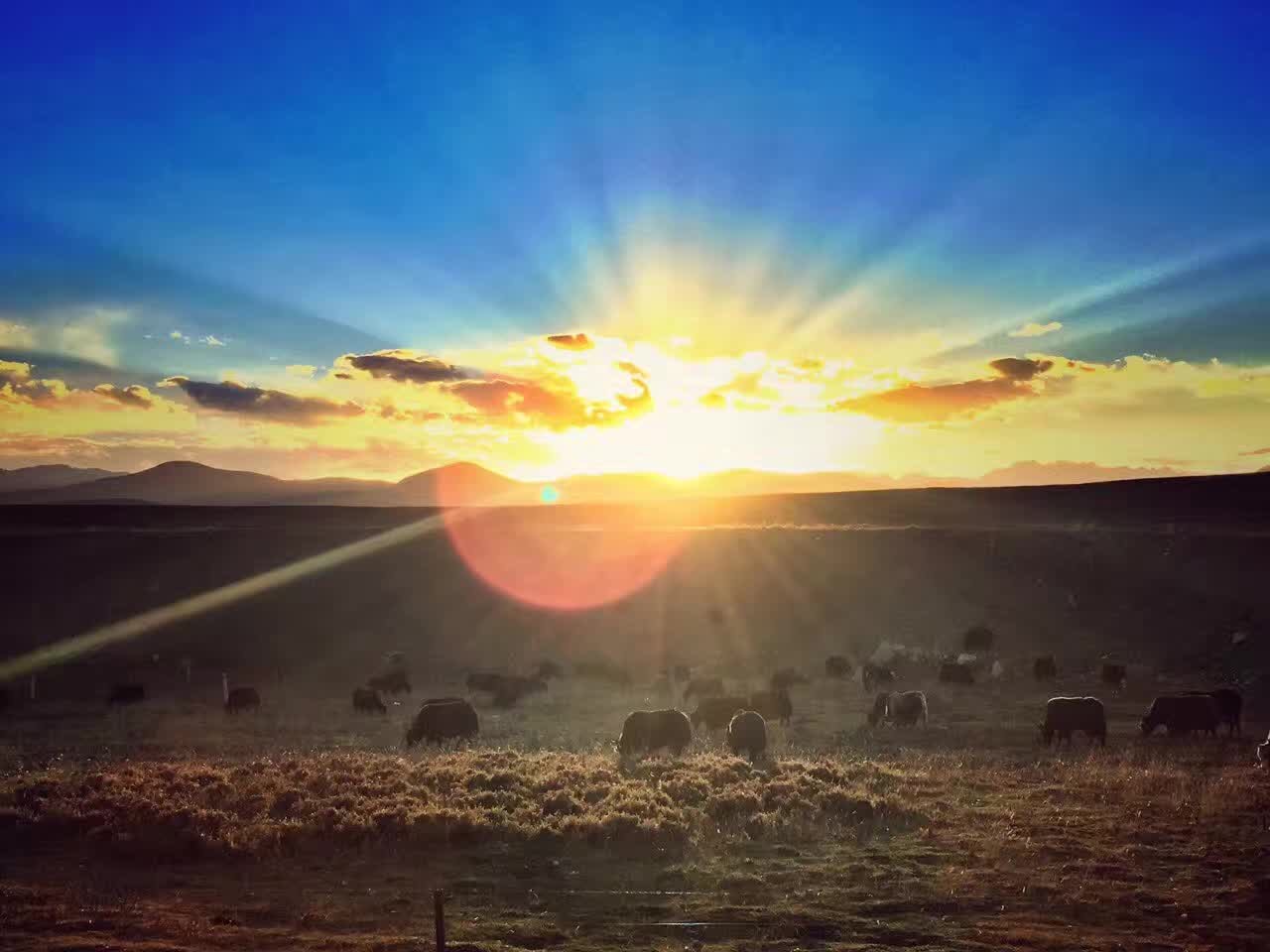 1477550978863453APCS.jpg 葉揚1秋夕.jpg