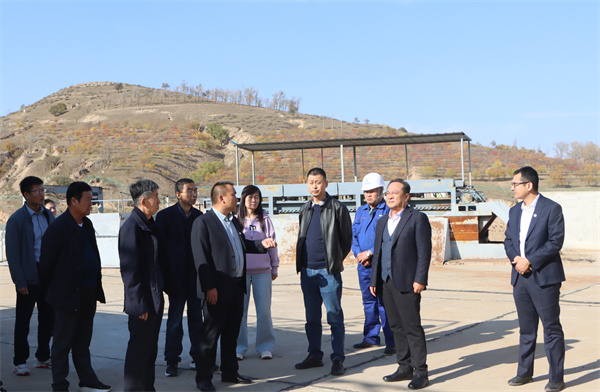 黨委書記、董事長劉衛(wèi)東前往大興場站進(jìn)行項目調(diào)研.jpg